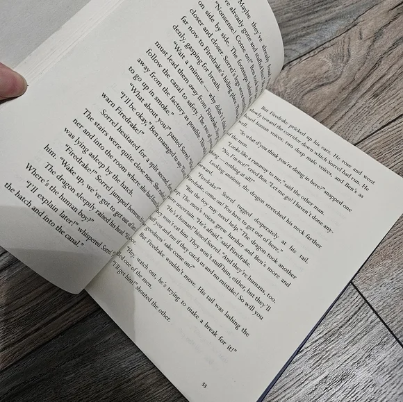 Dragon Rider Book - Picture 3 of 9